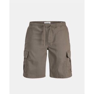 Shorts & Bermudas Jack & Jones 12289587 COLE EU S,EU M,EU L,EU XL Herr Shorts & Bermudas Jack & Jones 12289587 COLE EU S,EU M,EU L,EU XL Herr