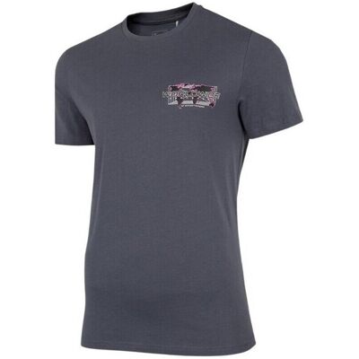 T-shirts med korta ärmar 4F TSM030 EU XXL,EU S,EU M,EU L,EU XL Herr T-shirts med korta ärmar 4F TSM030 EU XXL,EU S,EU M,EU L,EU XL Herr