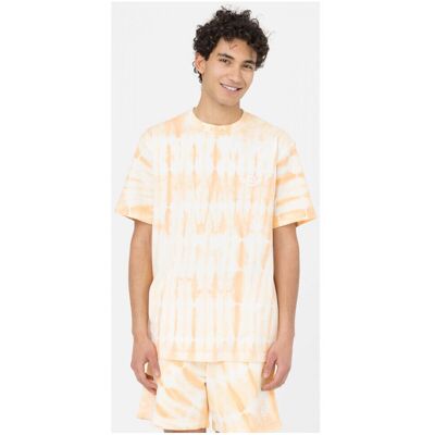 T-shirts & Pikétröjor Dickies Westfir tee ss EU S,EU L Herr T-shirts & Pikétröjor Dickies Westfir tee ss EU S,EU L Herr