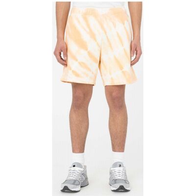 Shorts & Bermudas Dickies Westfir short EU S,EU L Herr Shorts & Bermudas Dickies Westfir short EU S,EU L Herr