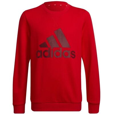 Sweatshirts adidas HE9286 EU M,EU L Sweatshirts adidas HE9286 EU M,EU L