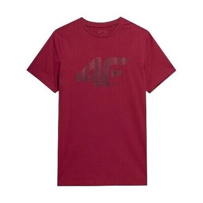 T-shirts med korta ärmar 4F 4FSS23TTSHM30961S EU S,EU M Herr T-shirts med korta ärmar 4F 4FSS23TTSHM30961S EU S,EU M Herr