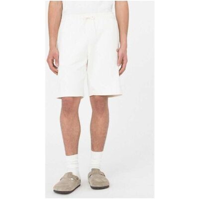 Shorts & Bermudas Dickies Mapleton short EU M,EU L,EU XL Herr Shorts & Bermudas Dickies Mapleton short EU M,EU L,EU XL Herr