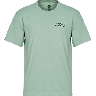 T-shirts med korta ärmar Dickies DICKIES SNAKE SS TEE EU S,EU M,EU L,EU XL Herr T-shirts med korta ärmar Dickies DICKIES SNAKE SS TEE EU S,EU M,EU L,EU XL Herr