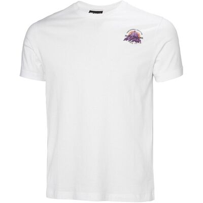 T-shirts med korta ärmar Helly Hansen Core Graphic 2.0 EU XXL,EU M,EU XL Herr T-shirts med korta ärmar Helly Hansen Core Graphic 2.0 EU XXL,EU M,EU XL Herr