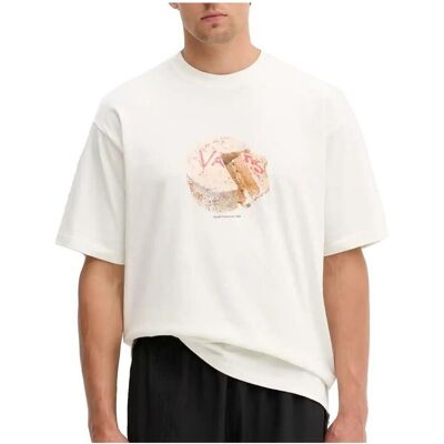 T-shirts med korta ärmar Vans Caked Ss EU S,EU L Herr T-shirts med korta ärmar Vans Caked Ss EU S,EU L Herr