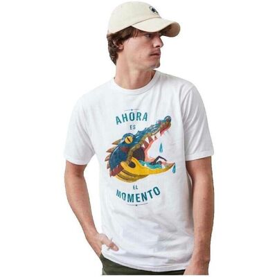 T-shirts med korta ärmar Altonadock T-shirt Slim Fit blanc EU S,EU M,EU L,EU XL Herr T-shirts med korta ärmar Altonadock T-shirt Slim Fit blanc EU S,EU M,EU L,EU XL Herr