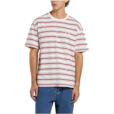 T-shirts & Pikétröjor Dickies Lewistown Stripe Ss Te EU S Herr T-shirts & Pikétröjor Dickies Lewistown Stripe Ss Te EU S Herr