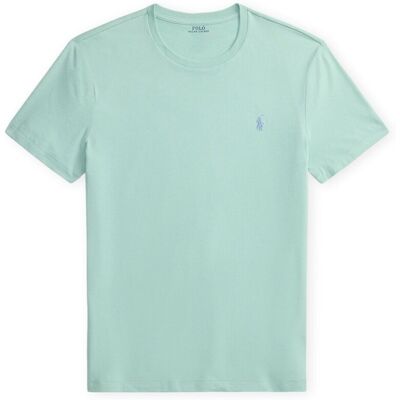 T-shirts med korta ärmar Polo Ralph Lauren Custom Slim Fit T-Shirt - Pale Green EU M,EU L,EU XL Herr T-shirts med korta ärmar Polo Ralph Lauren Custom Slim Fit T-Shirt - Pale Green EU M,EU L,EU XL Herr