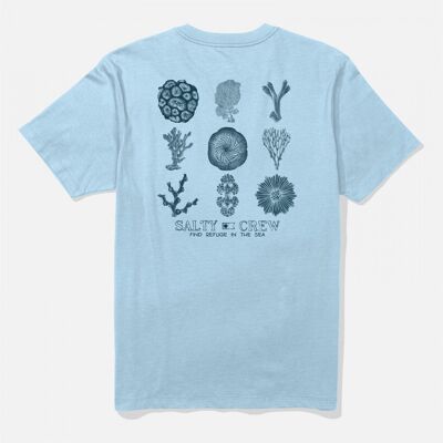 T-shirts med korta ärmar Salty Crew Coral head ss tee EU L,EU XL Herr T-shirts med korta ärmar Salty Crew Coral head ss tee EU L,EU XL Herr
