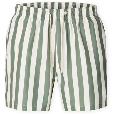 Shorts & Bermudas Selected Dane-Aop Swim Shorts - Deep Lichen Green EU M,EU L,EU XL Herr Shorts & Bermudas Selected Dane-Aop Swim Shorts - Deep Lichen Green EU M,EU L,EU XL Herr