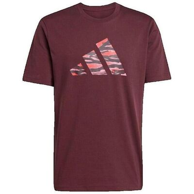 T-shirts & Pikétröjor adidas T-shirt Codes Camo Graphic bordeaux EU S,EU M Herr T-shirts & Pikétröjor adidas T-shirt Codes Camo Graphic bordeaux EU S,EU M Herr