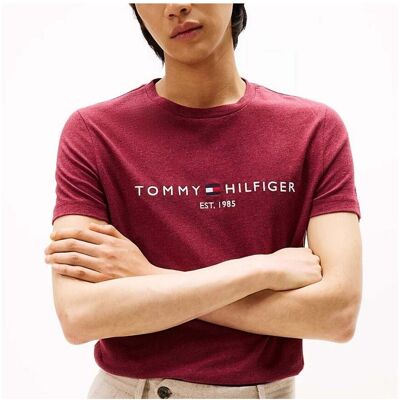 T-shirts med korta ärmar Tommy Hilfiger Tommy Logo Tee EU XL Herr T-shirts med korta ärmar Tommy Hilfiger Tommy Logo Tee EU XL Herr