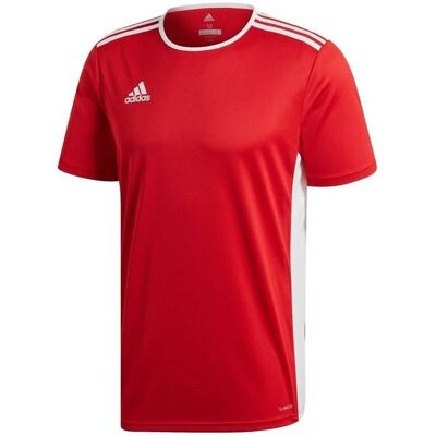 T-shirts med korta ärmar adidas Entrada 18 EU XL Herr T-shirts med korta ärmar adidas Entrada 18 EU XL Herr