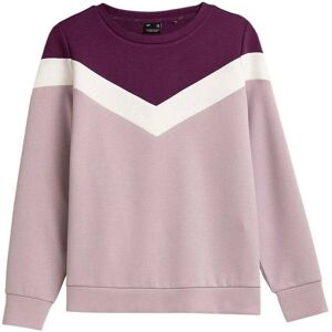 Sweatshirts 4F BLD025 EU XXL,EU S,EU XL,EU XS Sweatshirts 4F BLD025 EU XXL,EU S,EU XL,EU XS