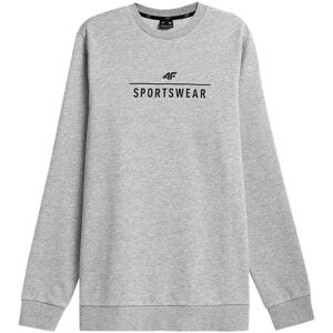 Sweatshirts 4F BLM350 EU XXL,EU S,EU M,EU L,EU XL,EU 3XL Sweatshirts 4F BLM350 EU XXL,EU S,EU M,EU L,EU XL,EU 3XL