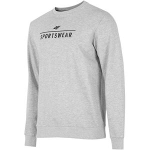 Sweatshirts 4F BLM350 EU XXL,EU L,EU XL,EU 3XL Sweatshirts 4F BLM350 EU XXL,EU L,EU XL,EU 3XL