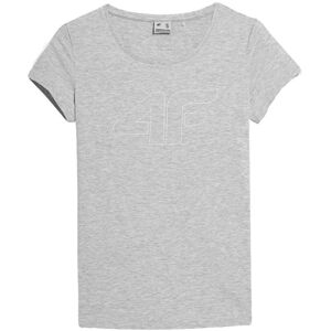 T-shirts med korta ärmar 4F SS23TTSHF583CHODNYJASNYSZARYMELAN EU S,EU XS Dam T-shirts med korta ärmar 4F SS23TTSHF583CHODNYJASNYSZARYMELAN EU S,EU XS Dam