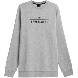 Sweatshirts 4F M692 M 27m EU XXL,EU S,EU M,EU L,EU XL,EU 3XL Sweatshirts 4F M692 M 27m EU XXL,EU S,EU M,EU L,EU XL,EU 3XL