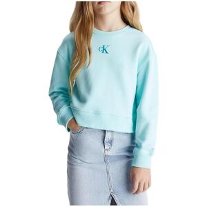 Sweatshirts Calvin Klein Jeans IG0IG02423 CCP 8 år Sweatshirts Calvin Klein Jeans IG0IG02423 CCP 8 år