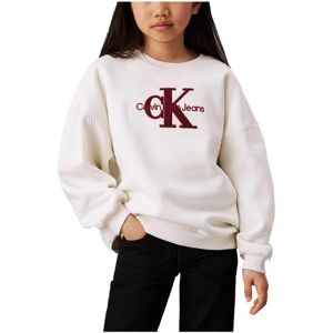 Sweatshirts Calvin Klein Jeans IG0IG02738YBI 4 år,16 år Sweatshirts Calvin Klein Jeans IG0IG02738YBI 4 år,16 år