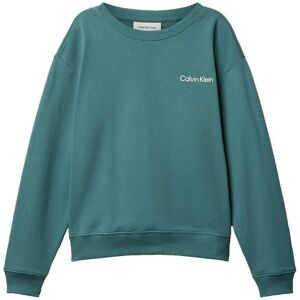 Sweatshirts Calvin Klein Jeans IB0IB02209 CH2 8 år,10 år Sweatshirts Calvin Klein Jeans IB0IB02209 CH2 8 år,10 år