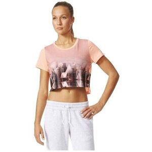 T-shirts med korta ärmar adidas Photo Tee EU M Dam T-shirts med korta ärmar adidas Photo Tee EU M Dam