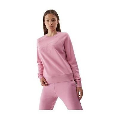 Sweatshirts 4F 4FAW23TSWSF072256S EU S,EU XL,EU XS Sweatshirts 4F 4FAW23TSWSF072256S EU S,EU XL,EU XS