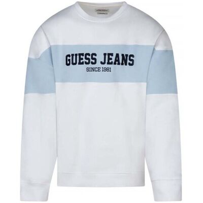 Sweatshirts Guess M4bq39 K9v31 EU S,EU M,EU L Sweatshirts Guess M4bq39 K9v31 EU S,EU M,EU L