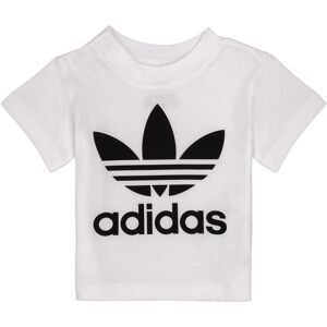 T-shirts med korta ärmar adidas MAELYS 12 / 18 mån,3 / 6 mån,6 / 9 mån,9 / 12 mån Flickor T-shirts med korta ärmar adidas MAELYS 12 / 18 mån,3 / 6 mån,6 / 9 mån,9 / 12 mån Flickor