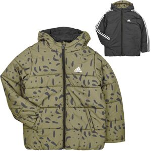Dunjackor adidas JK REV PAD JKT 15 / 16 år Pojkar Dunjackor adidas JK REV PAD JKT 15 / 16 år Pojkar