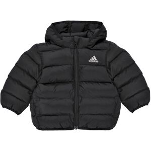 Dunjackor adidas Synthetic Down Jacket 3 / 6 mån,6 / 9 mån,9 / 12 mån,0 / 3 mån Flickor Dunjackor adidas Synthetic Down Jacket 3 / 6 mån,6 / 9 mån,9 / 12 mån,0 / 3 mån Flickor