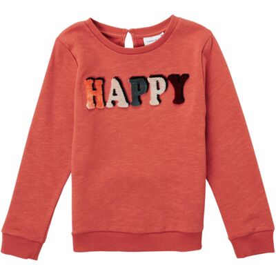 Sweatshirts Name it NMFNALA SWEAT 18 Monate,2 Jahre,3 Jahre Sweatshirts Name it NMFNALA SWEAT 18 Monate,2 Jahre,3 Jahre