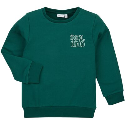Sweatshirts Name it NMMTOMS SWEAT 18 Monate,2 Jahre,3 Jahre Sweatshirts Name it NMMTOMS SWEAT 18 Monate,2 Jahre,3 Jahre