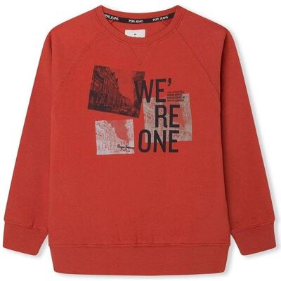 Sweatshirts Pepe jeans PB581425 262 16 år Sweatshirts Pepe jeans PB581425 262 16 år