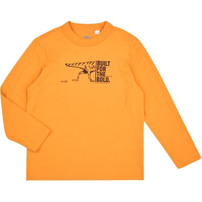 Långärmade T-shirts Timberland TEE-SHIRT MANCHES LONGUES T60301 6 år,8 år Pojkar Långärmade T-shirts Timberland TEE-SHIRT MANCHES LONGUES T60301 6 år,8 år Pojkar