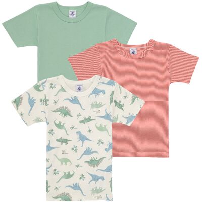 T-shirts med korta ärmar Petit Bateau 3 TEE SHIRTS MC 3 år Pojkar T-shirts med korta ärmar Petit Bateau 3 TEE SHIRTS MC 3 år Pojkar