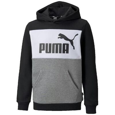 Tröjor Puma Essentials+ 110 Flickor Tröjor Puma Essentials+ 110 Flickor