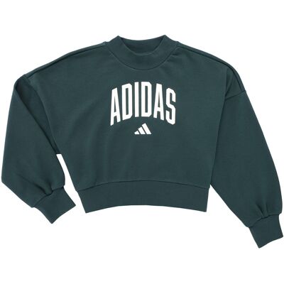 Sweatshirts adidas Seasonals Essentials Collegiate Typography Crewneck Sweatshirt K 11 / 12 år,13 / 14 år,7 / 8 år Sweatshirts adidas Seasonals Essentials Collegiate Typography Crewneck Sweatshirt K 11 / 12 år,13 / 14 år,7 / 8 år