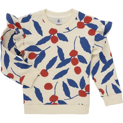 Sweatshirts Petit Bateau CORINE 3 år,4 år,5 år Sweatshirts Petit Bateau CORINE 3 år,4 år,5 år