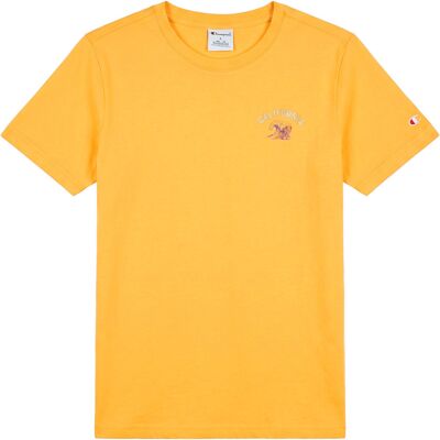 T-shirts med korta ärmar Champion Ss Tee 14 / 16 ans,9 / 11 ans,11 / 13 ans Pojkar T-shirts med korta ärmar Champion Ss Tee 14 / 16 ans,9 / 11 ans,11 / 13 ans Pojkar