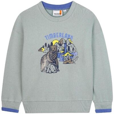 Sweatshirts Timberland T60543 71B 4 år,6 år,8 år,10 år,14 år,16 år Sweatshirts Timberland T60543 71B 4 år,6 år,8 år,10 år,14 år,16 år