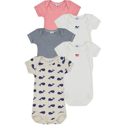 Bodies för barn Petit Bateau 5 BODIES US MC 3 mån,6 mån,12 mån Bodies för barn Petit Bateau 5 BODIES US MC 3 mån,6 mån,12 mån