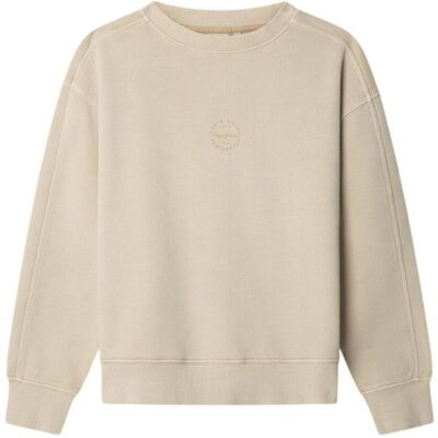 Sweatshirts Pepe jeans PB5800071 819 8 år,10 år,12 år,14 år Sweatshirts Pepe jeans PB5800071 819 8 år,10 år,12 år,14 år