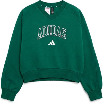 Sweatshirts adidas Seasonals Collegiate Typography V-neck Junior Girls Sweatshirt 11 / 12 år,13 / 14 år,7 / 8 år,9 / 10 år,14 / 15 år Sweatshirts adidas Seasonals Collegiate Typography V-neck Junior Girls Sweatshirt 11 / 12 år,13 / 14 år,7 / 8 år,9 / 10 år,14 / 15 år