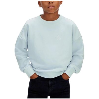 Sweatshirts Calvin Klein Jeans LVCKSJB03B D5O 4 år,6 år,8 år,10 år,12 år,14 år,16 år Pojkar Sweatshirts Calvin Klein Jeans LVCKSJB03B D5O 4 år,6 år,8 år,10 år,12 år,14 år,16 år Pojkar