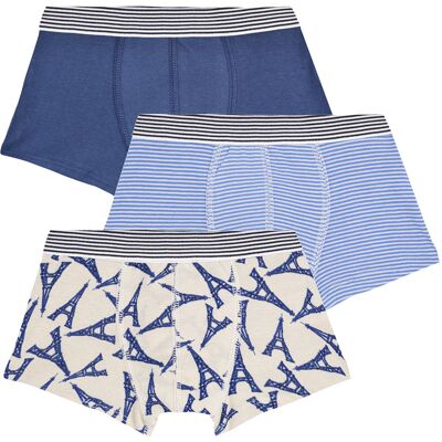 Boxershorts Petit Bateau LOT BOXER X3 2 år Boxershorts Petit Bateau LOT BOXER X3 2 år