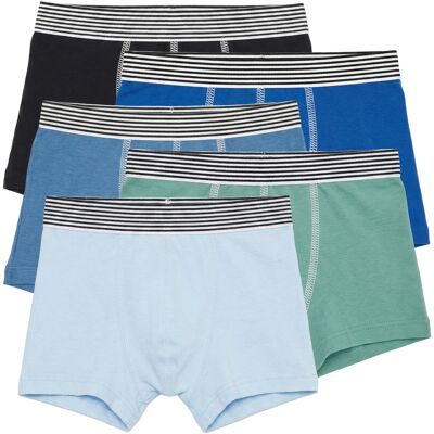 Boxershorts Petit Bateau BOXERS X 5 6 år,8 år,10 år,12 år Boxershorts Petit Bateau BOXERS X 5 6 år,8 år,10 år,12 år