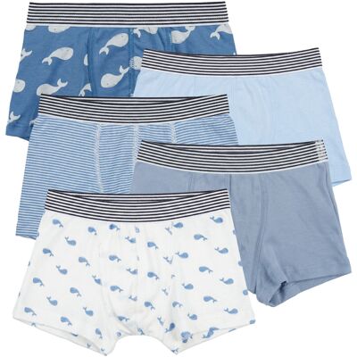 Boxershorts Petit Bateau BOXERS X 5 6 år,8 år,10 år,12 år Boxershorts Petit Bateau BOXERS X 5 6 år,8 år,10 år,12 år
