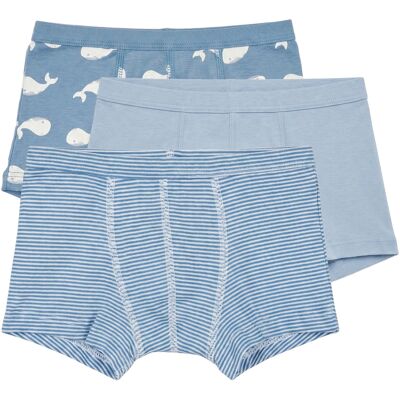 Boxershorts Petit Bateau BOXERS X 3 6 år,8 år,10 år,12 år Boxershorts Petit Bateau BOXERS X 3 6 år,8 år,10 år,12 år